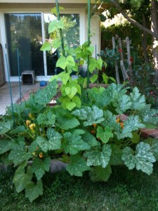 270281_2113422802354_4559641_n